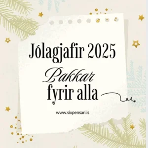 Sixpensari netverslun 2 Jólapakkar